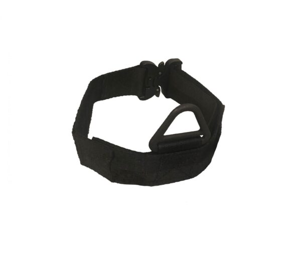 Nylon collar with cobra buckle