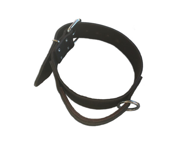 Leather collar with handle