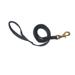 Grippy lead with brass clip