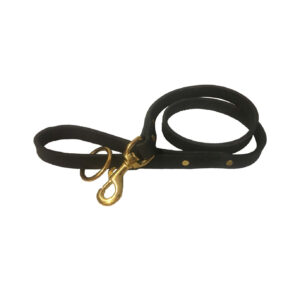 Leather waist lead with brass clip