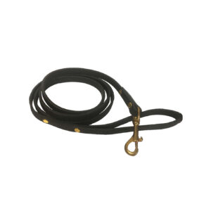 Leather lead with brass clip